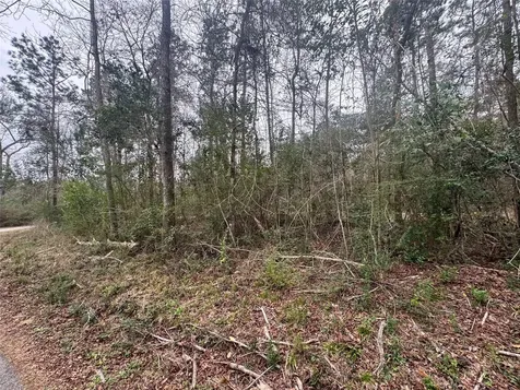 Tbd Eastwood Avenue Coldspring TX 77331