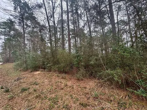 Tbd Eastwood Avenue Coldspring TX 77331