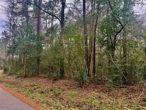 Tbd Eastwood Avenue Coldspring TX 77331