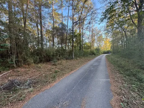 Tbd Eastwood Avenue Coldspring TX 77331