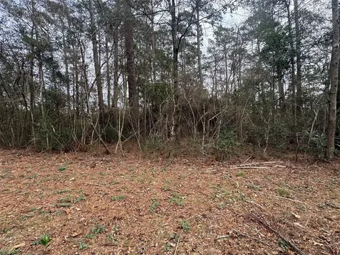 Tbd Eastwood Avenue Coldspring TX 77331