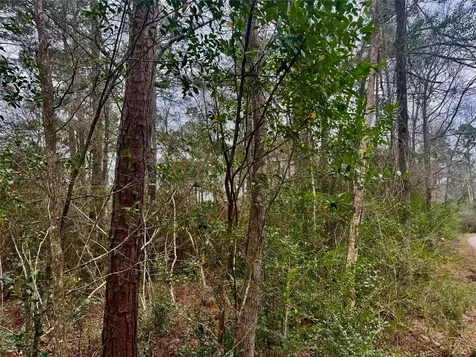 Tbd Eastwood Avenue Coldspring TX 77331