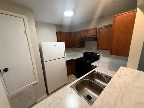 22211 Moss Falls Lane Spring TX 77373