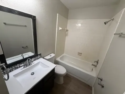 22211 Moss Falls Lane Spring TX 77373