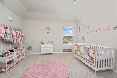 1325 Mount Bassie Trail Conroe TX 77301