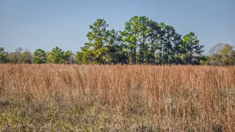 Tbd (LOT 1) Podraza Road New Waverly TX 77358