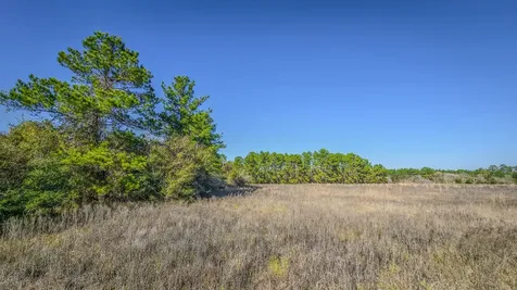 Tbd (LOT 1) Podraza Road New Waverly TX 77358