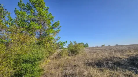 Tbd (LOT 1) Podraza Road New Waverly TX 77358