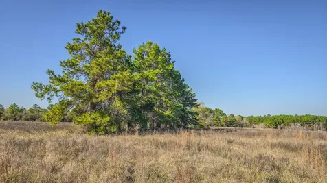 Tbd (LOT 1) Podraza Road New Waverly TX 77358