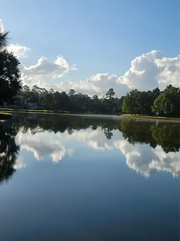 5303 Beaver Lodge Drive Houston TX 77345