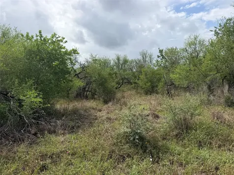 Tract 9 Love Road Victoria TX 77904