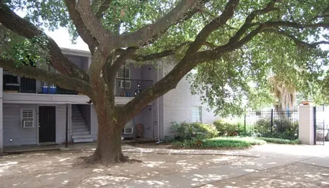 6225 Tierwester Street 09 Houston TX 77021