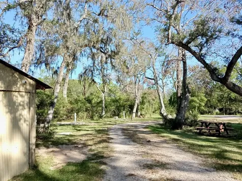 17628 County Road 426 Brazoria TX 77422