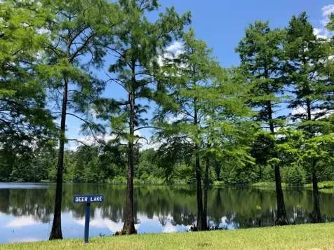 553 Timber Voyage Court Conroe TX 77304