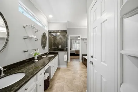 17114 Wunder Hill Drive Spring TX 77379