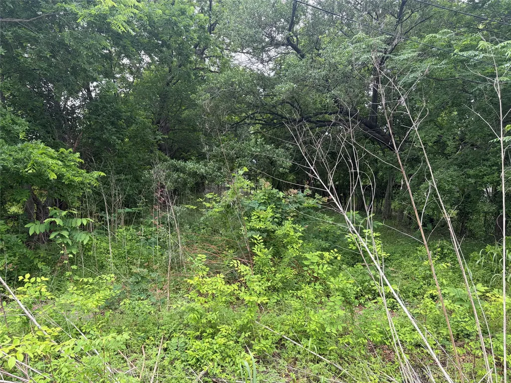 3706 Farmer Street Houston TX 77020