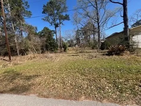 Tbd Apple Tree Livingston TX 77351