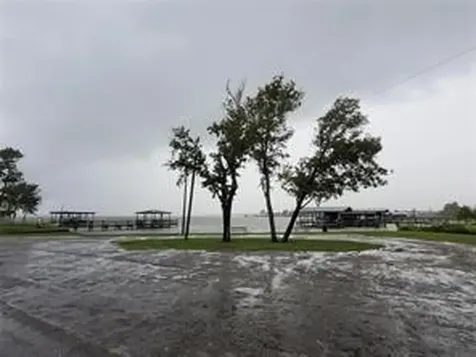 Tbd Apple Tree Livingston TX 77351