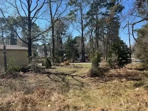 Tbd Apple Tree Livingston TX 77351