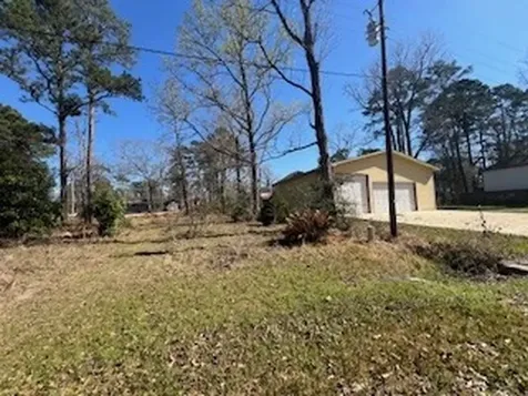 Tbd Apple Tree Livingston TX 77351
