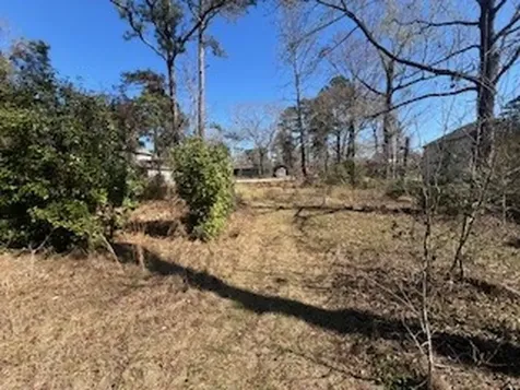 Tbd Apple Tree Livingston TX 77351