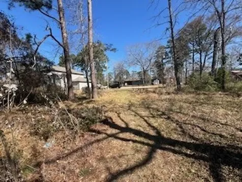 Tbd Apple Tree Livingston TX 77351