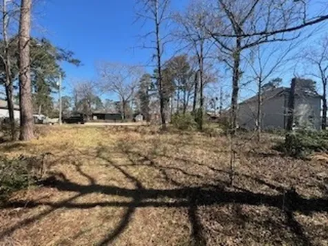 Tbd Apple Tree Livingston TX 77351