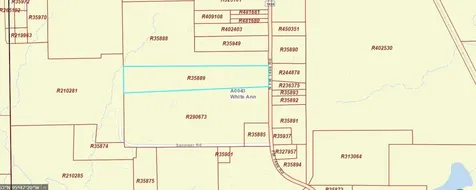 4525 N Fm 1486 Road Montgomery TX 77356