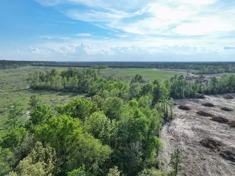 9770 N State Highway 94 Groveton TX 75845
