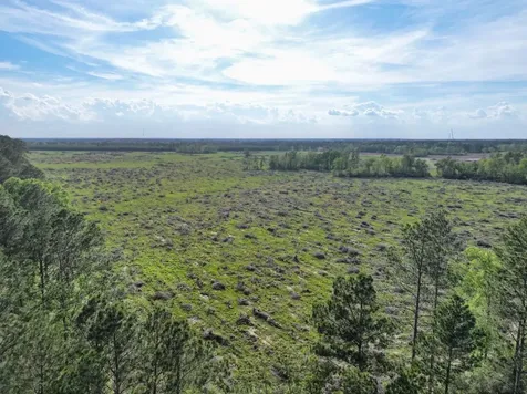9770 N State Highway 94 Groveton TX 75845