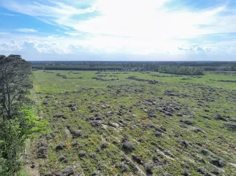 9770 N State Highway 94 Groveton TX 75845