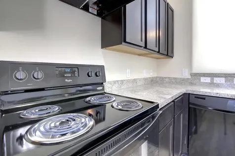 3923 Lexington Manor Court Missouri City TX 77459