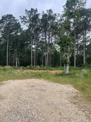 11338 Annie Creek Drive Willis TX 77378