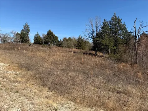Lot 20 Cr 389 Jewett TX 75846