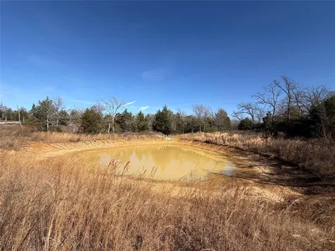 Lot 20 Cr 389 Jewett TX 75846