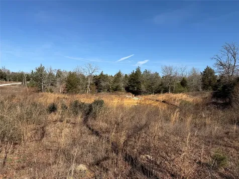 Lot 20 Cr 389 Jewett TX 75846