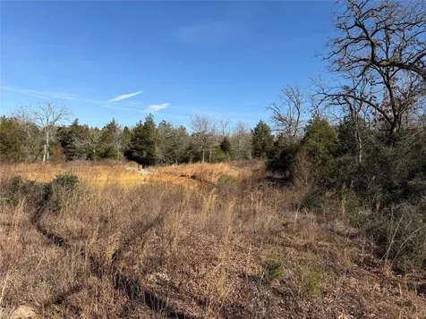 Lot 20 Cr 389 Jewett TX 75846