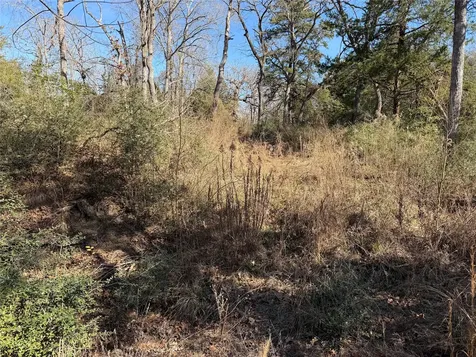 Lot 20 Cr 389 Jewett TX 75846