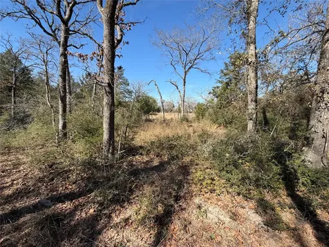 Lot 20 Cr 389 Jewett TX 75846