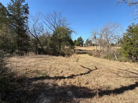 Lot 20 Cr 389 Jewett TX 75846