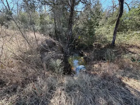 Lot 20 Cr 389 Jewett TX 75846