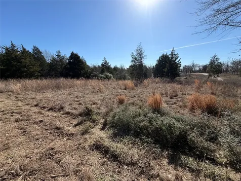 Lot 20 Cr 389 Jewett TX 75846