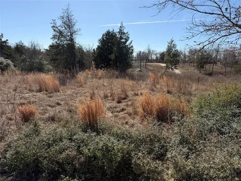 Lot 20 Cr 389 Jewett TX 75846