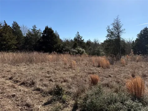 Lot 20 Cr 389 Jewett TX 75846