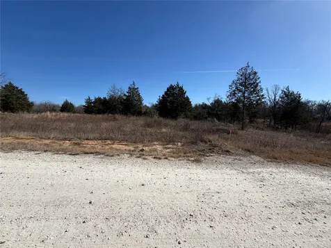 Lot 20 Cr 389 Jewett TX 75846