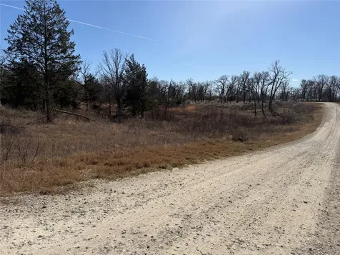 Lot 20 Cr 389 Jewett TX 75846