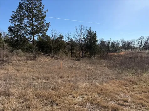 Lot 20 Cr 389 Jewett TX 75846