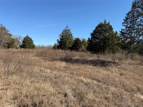 Lot 20 Cr 389 Jewett TX 75846