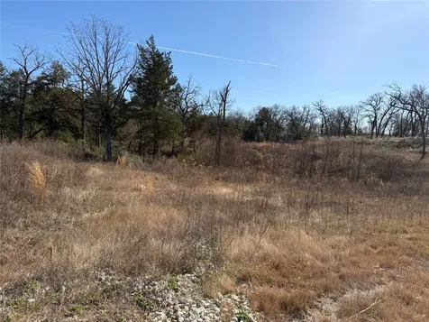Lot 20 Cr 389 Jewett TX 75846