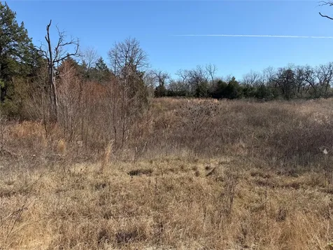 Lot 20 Cr 389 Jewett TX 75846